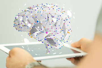 兴农录取分数线/兴民录取分数线