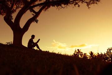 上海师范大学2017艺术录取分数线(上海师范大学2020年艺术录取分数线)