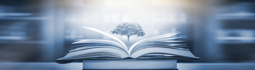 锦州育明高中2017录取分数线(锦州育明2019中考分数线)