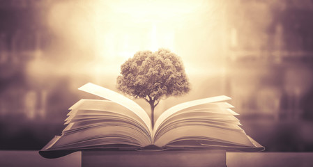 南昌卫校录取分数线(江西南昌卫校录取分数线)