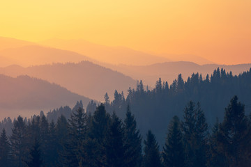 龙口一周天气预报/龙口天气预报一周查询