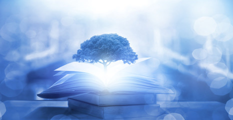 斯巴鲁BRZ靠谱吗/斯巴鲁brzrs