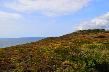 成都七中录取分数线(2025成都各高中录取分数线)