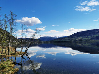 长春17中录取分数线/精诚高中录取分数线