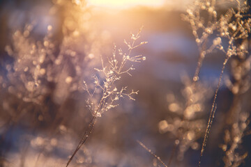 【2014农大录取分数线,2014农大录取分数线是多少】