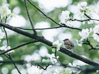 【各传媒大学录取分数线,各个传媒大学分数线】