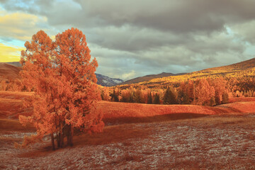 【合肥一中录取分数线,一高录取分数线2025】