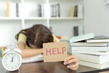 【文山市一中高中录取分数线,文山市一中学录取分数线】