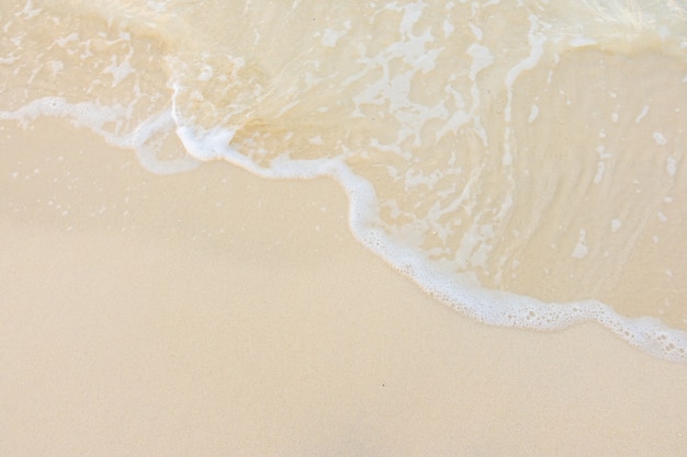 高考录取分数线厦门(厦门分数线多少2020)