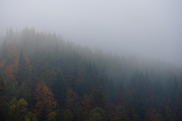 【丰城一中录取分数线,丰城中学入取分数线】