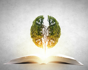 乳山周末天气/乳山市一周天气