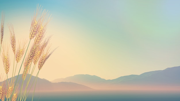 宝马X1多少钱/宝马x1多少钱一辆