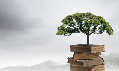 沈阳一高中录取分数线/沈阳高中录取分数线排名