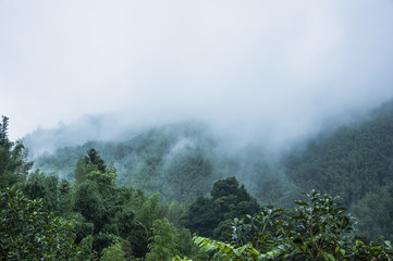 【杭师大附中录取分数线,杭州师大附中录取分数线】